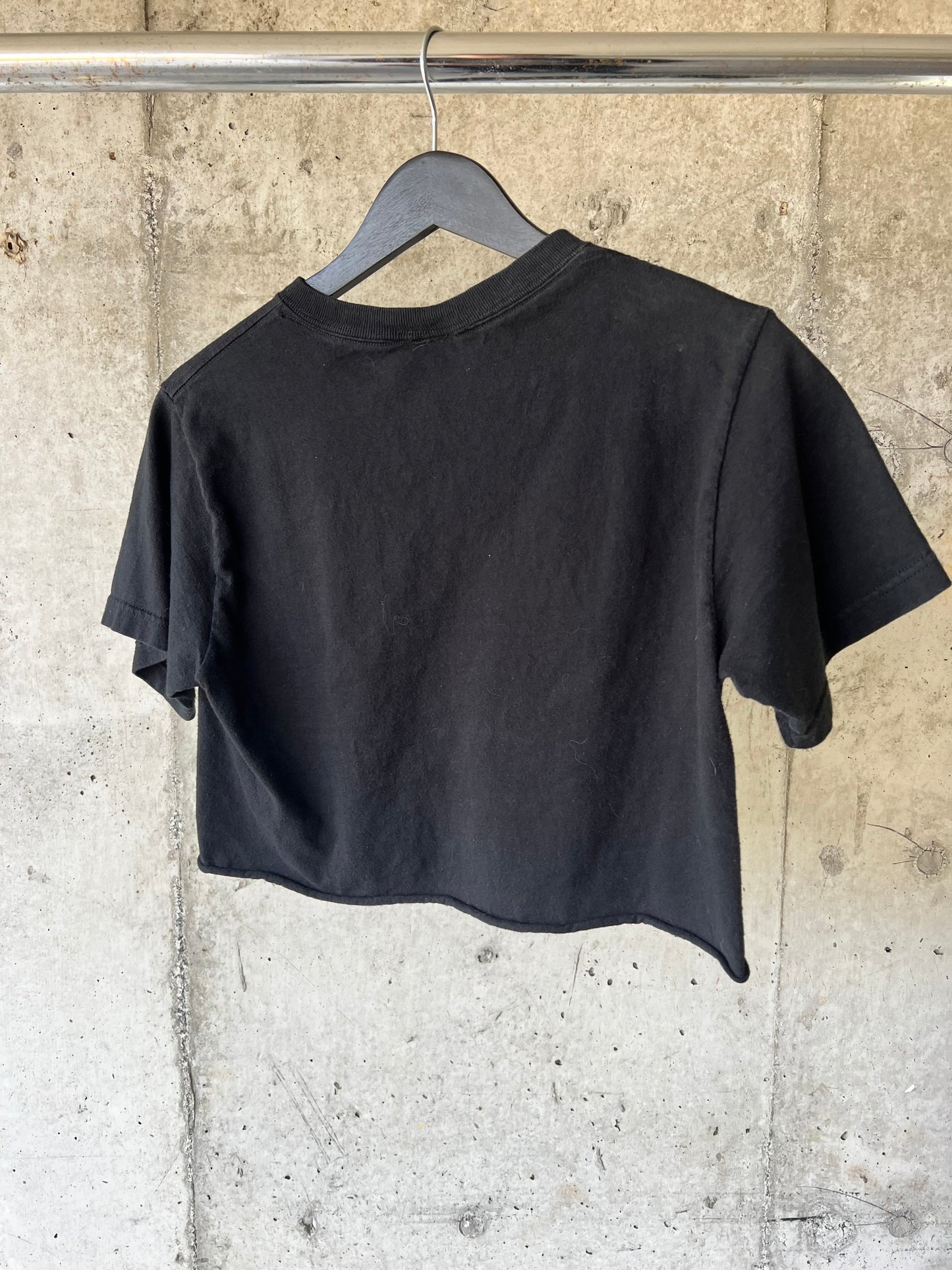 Y2K Glitter Print Sid Vicious “Destroy” T-shirt